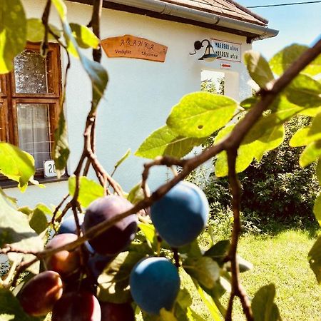 Ubytovanie U Aranky Cierna nad Tisou Bagian luar foto